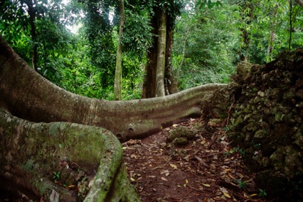 Palenque