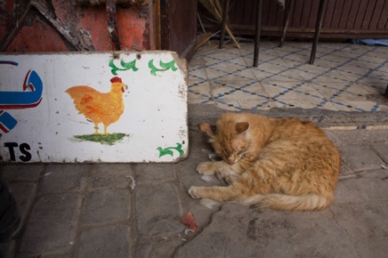 Marrakesh, Morocco