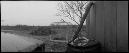 Roadside, 1981 Roadside, 1981