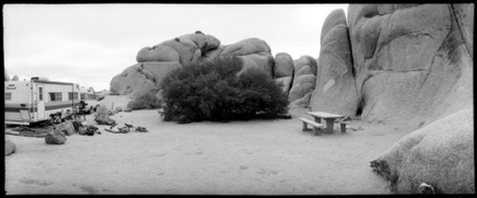 Joshua Tree, 1982